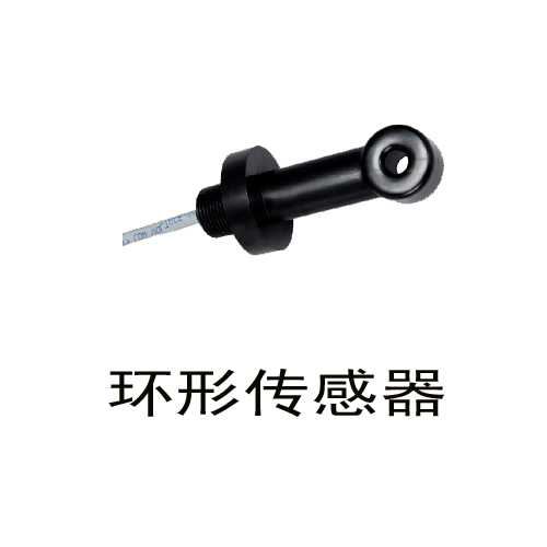 環(huán)形感應(yīng)式電導(dǎo)率傳感器